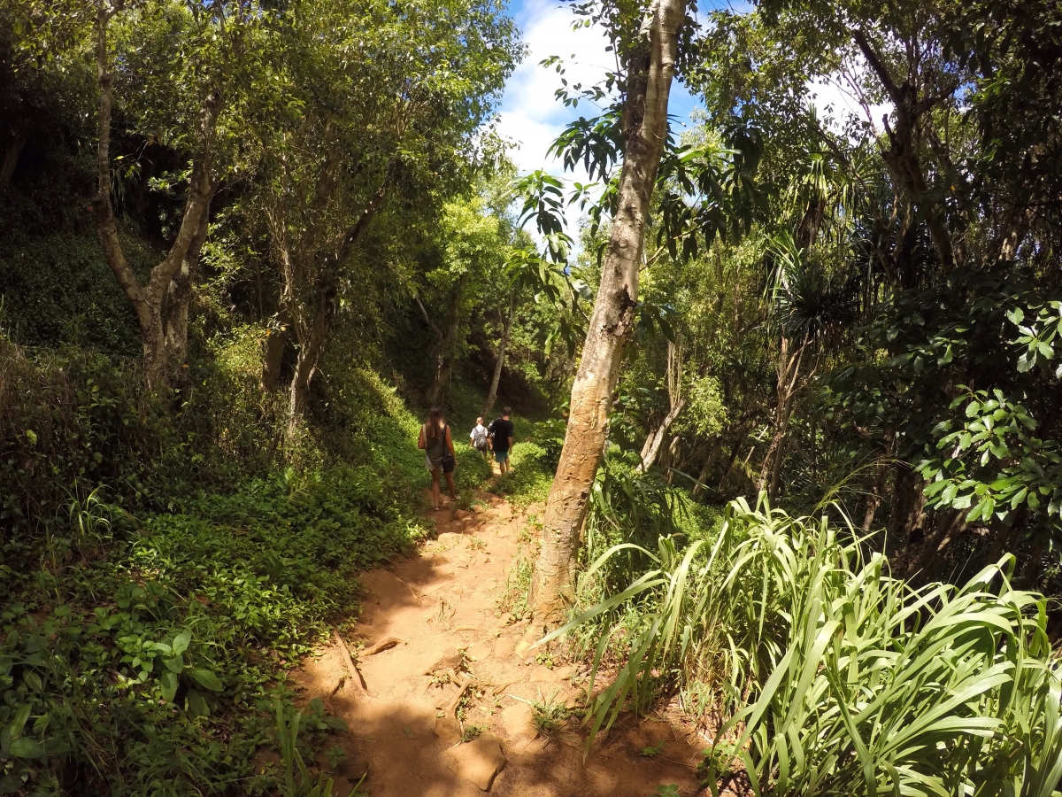 trail down to secret beach   